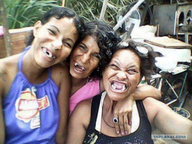 Чучело лисы