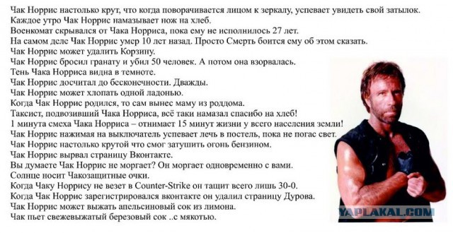 Про уличных блоховозов