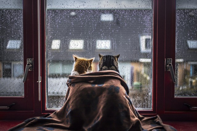 Субботняя подборочка картинок