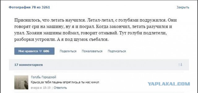 Смешные комментарии из социальных сетей 02.09.2016