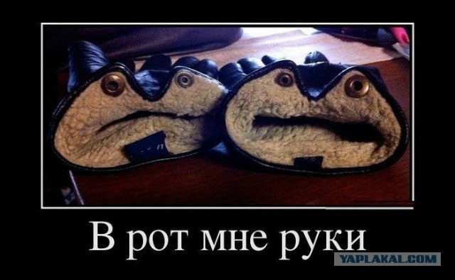 Дурацкие картинки