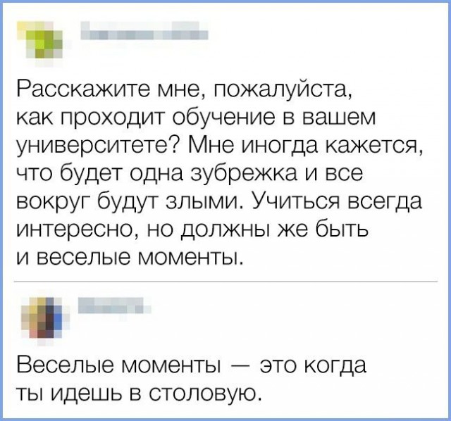 20 твитов от людей, у которых накопились вопросы к этой странной жизни
