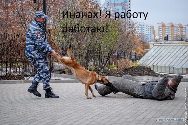 Делай "кусь"...