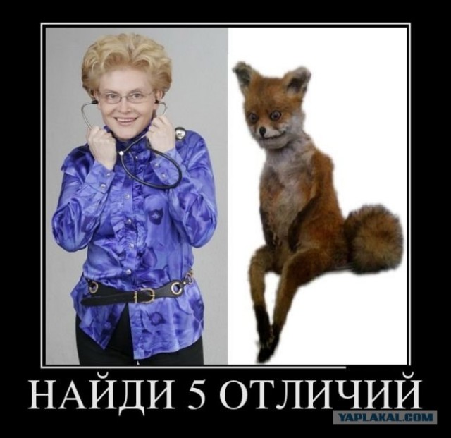 Перлы телеведущей Елены Малышевой