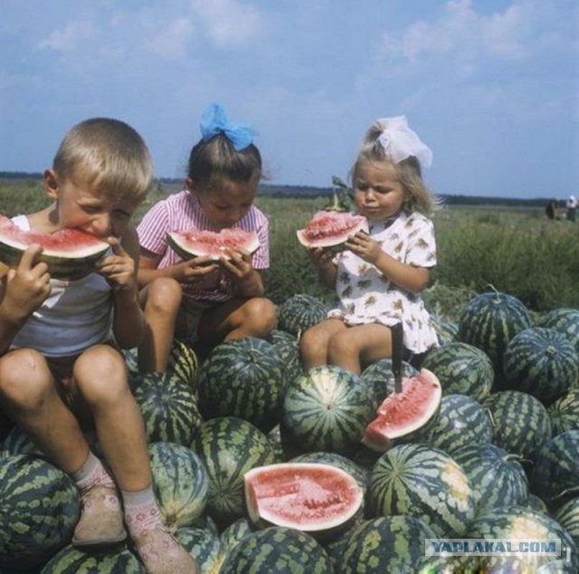 20 фотографий из советского детства, на которые не взглянешь без ностальгии