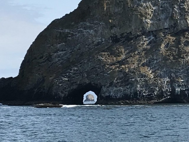 Подборка интересных и веселых картинок