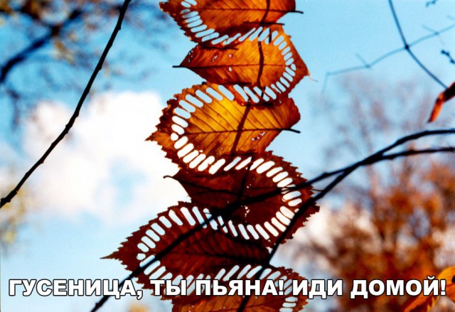 Нестандартный юмор