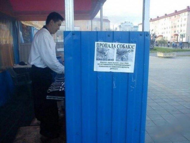 Немного картинок в эту среду