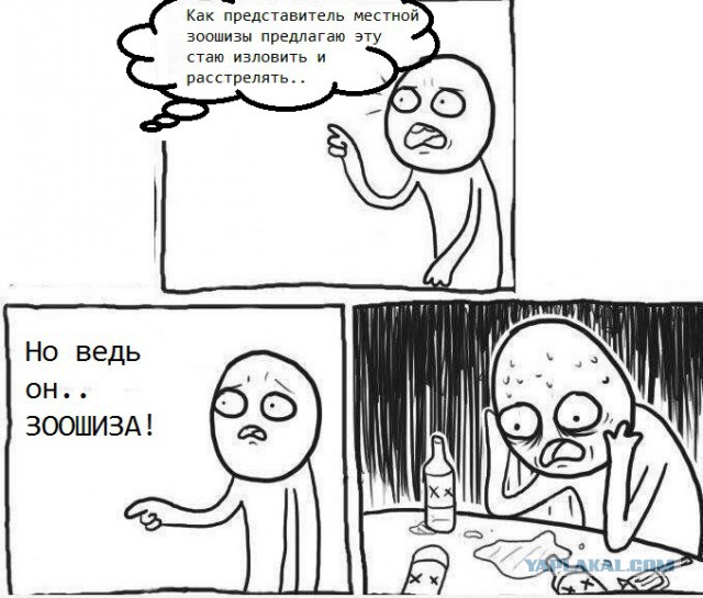 Во Владимире собаки насмерть загрызли молодого мужчину