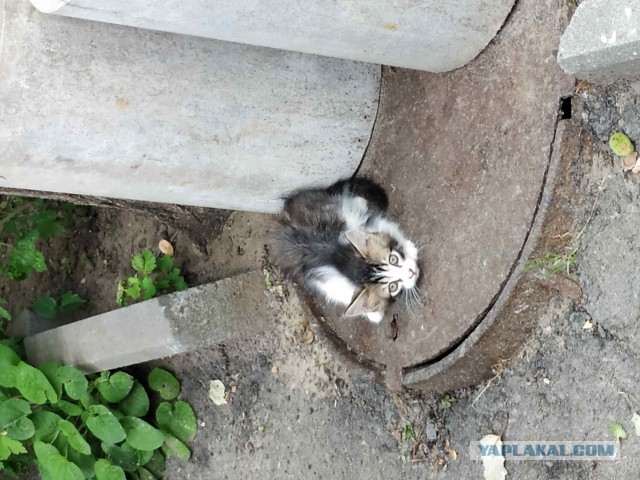 30 душевных фотографий, чтобы отдохнуть, помечтать и улыбнуться
