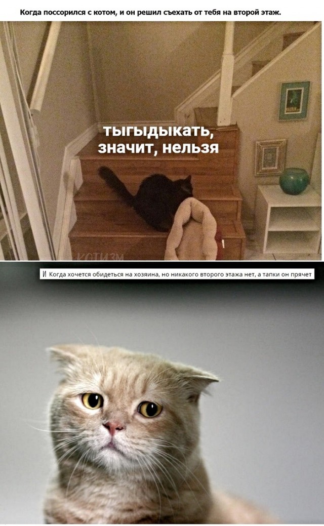 Картинки с надписями, истории и анекдоты 01.10.19