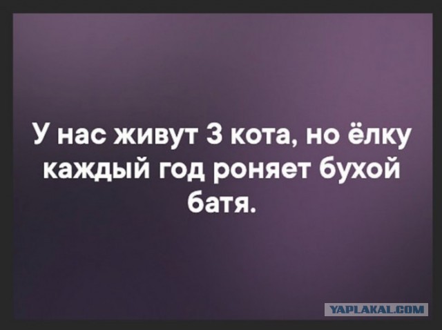 Бредзона картинок 20.11.2019