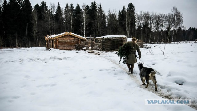 Бредзона картинок 20.11.2019