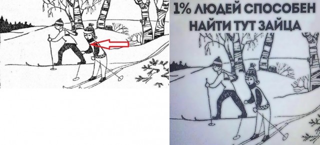 Привет, ромашки!