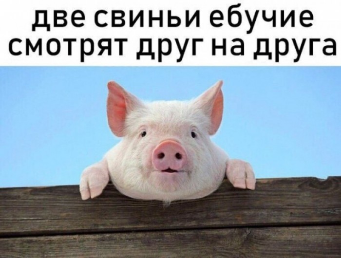 Древние мемы с ВК. Для тех кто забыл #4