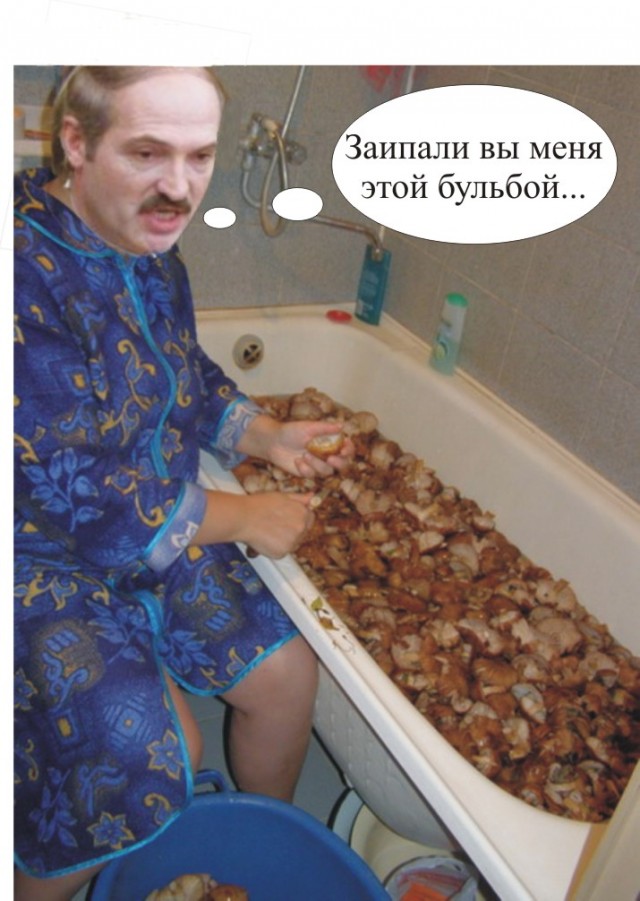 Фотожаба: Грибы на ноутбуке