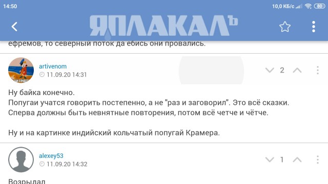 Кеша