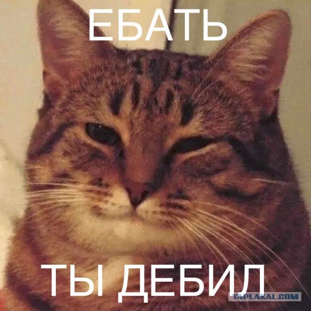 Откровения любовницы