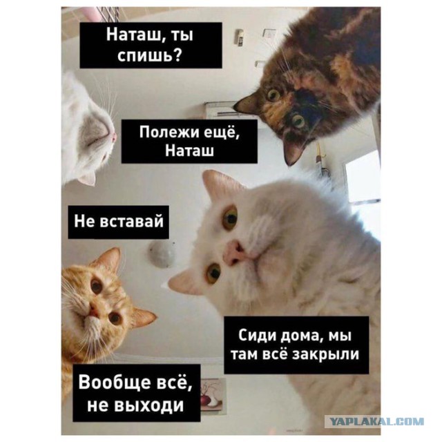 Ремикс на турка с полькой