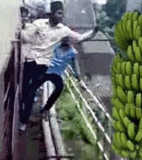 Покатушки по-индийски