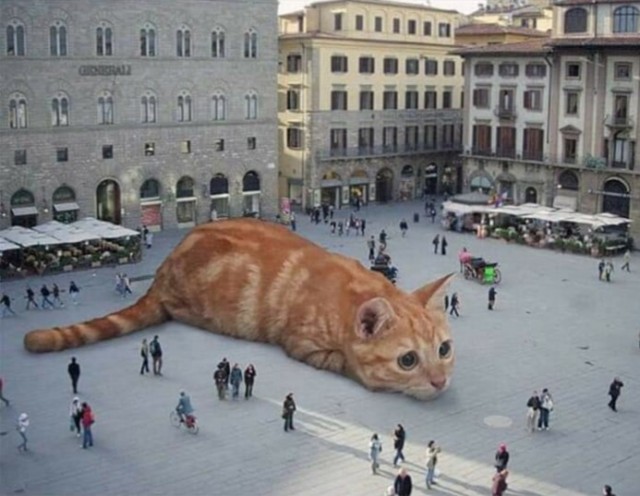 Немного картинок с надписями и без - 28.02.21