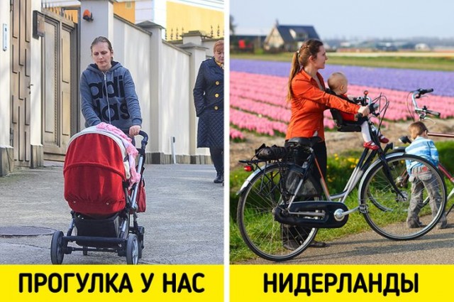 16 деталей жизни голландцев, которые доказывают, что между нашими странами — пропасть