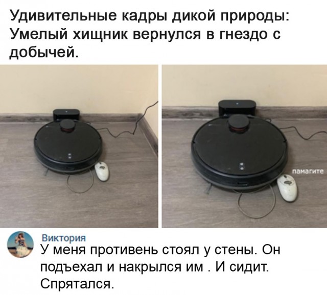 Так себе картинки 28.07.21
