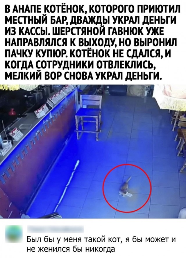 Так себе картинки 28.08.21