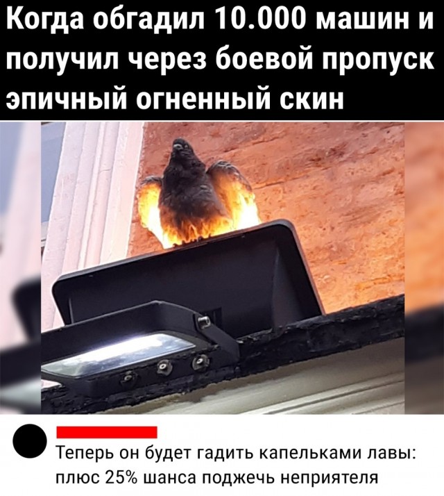 Кретинизмы из сети 29.08.2021