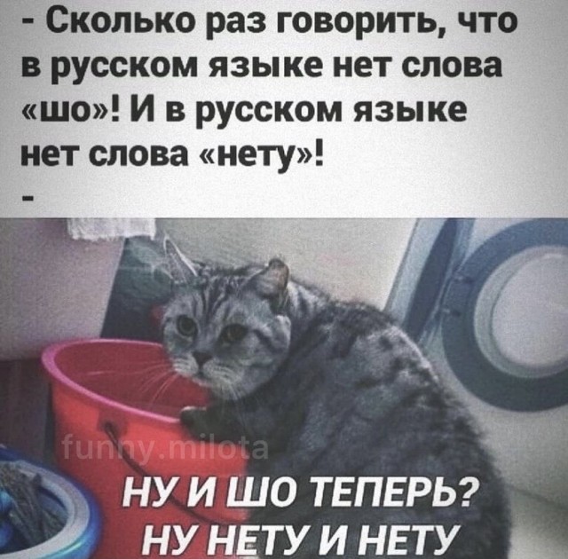Картинки и мемы для настроения 09.06.2021