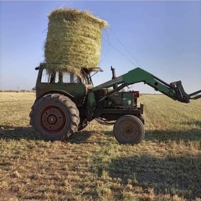 Так себе картинки 28.09.21