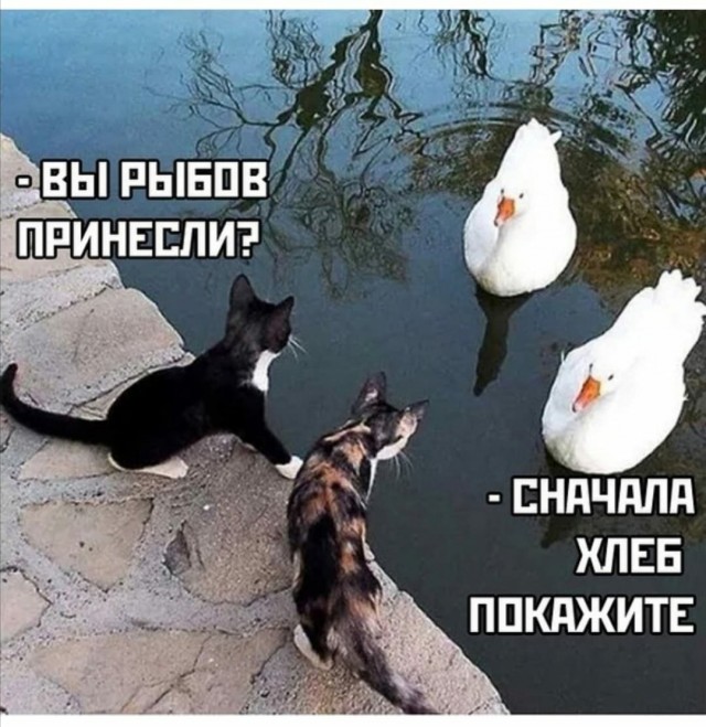 Картинки разные 06.10.21