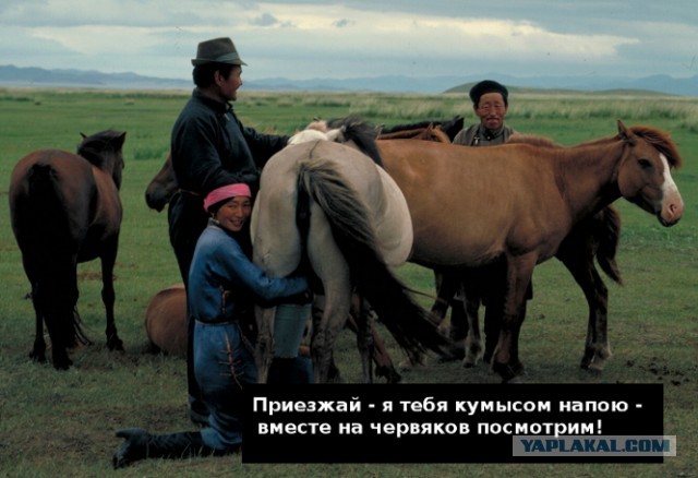 Олгой-Хорхой — смертоносный червь Гоби