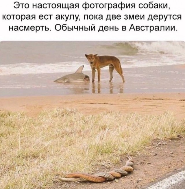 Пандемия. Коронавирус. Россия и мир. Последняя информация. Часть 27