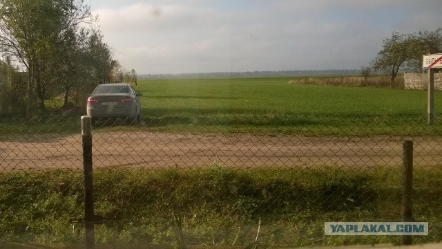 Из окна моего дома
