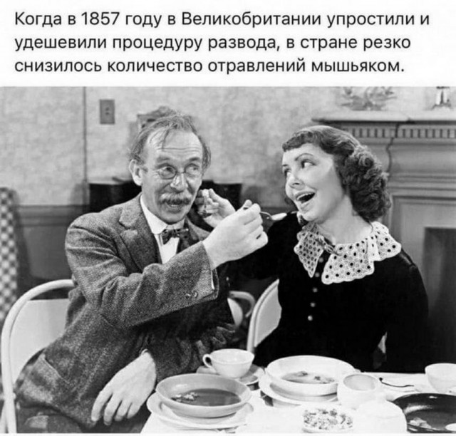 "Купил коту игрушку" и другие картинки