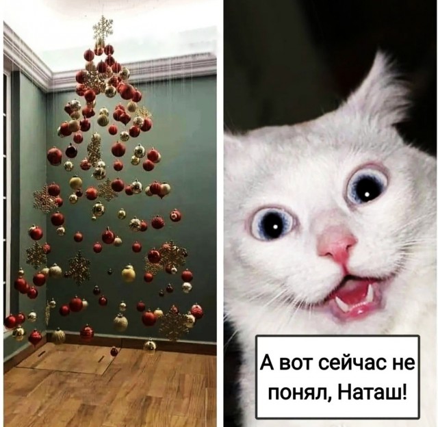 Так себе картинки 15.12.21