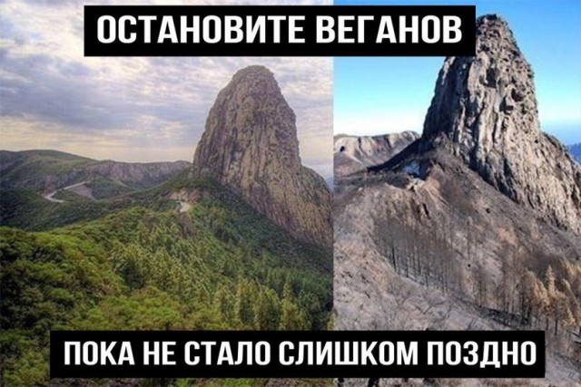 Всяческие картинки 20.12.2021