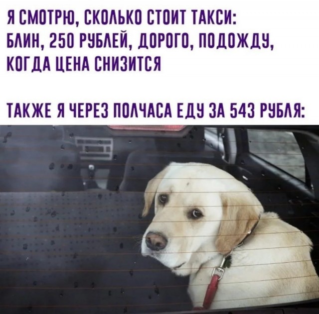 Баянисто-небаянистый юмор 13.01.22