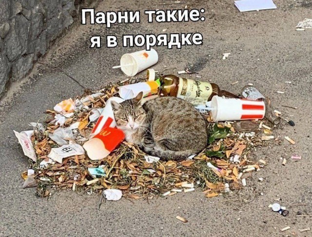 Картинки аморальные и всякие разные - 21