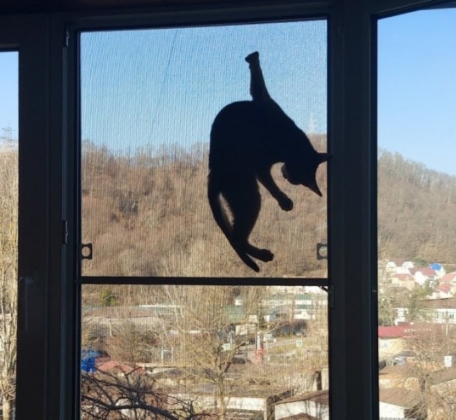 Котовторниковское