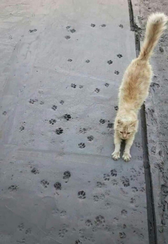 А что, уже вторник?