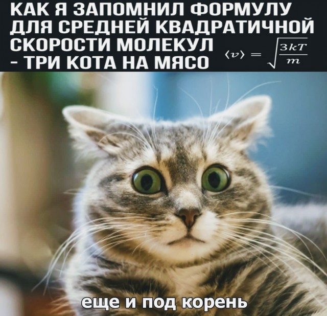 Картинки и мемы для настроения - 21