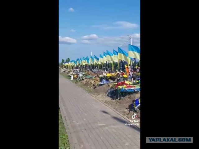 Николаев ждет "ночь длинных ножей"