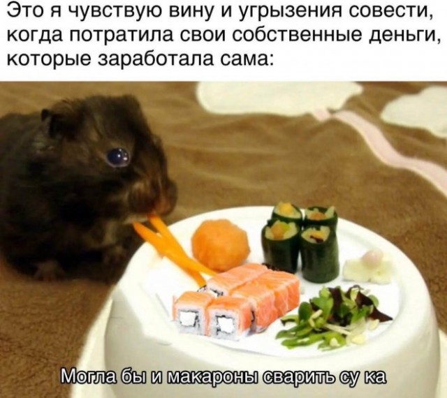 Картинки и мемы, всем хороших выходных