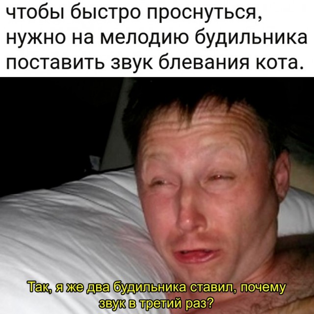 Весёлый полтишок 05.12.22