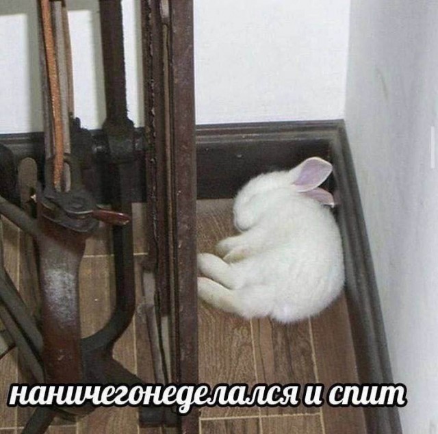 Немного картинок и прочей хреноты Vol. 20