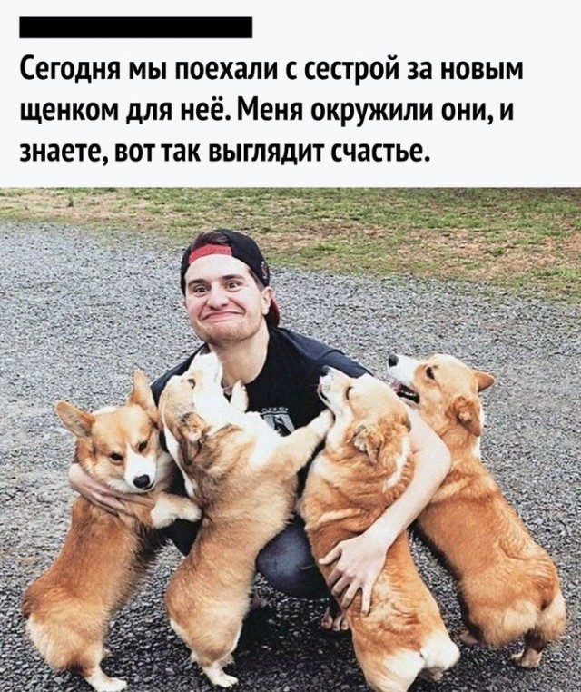 Картинки и мемы, всем хороших выходных