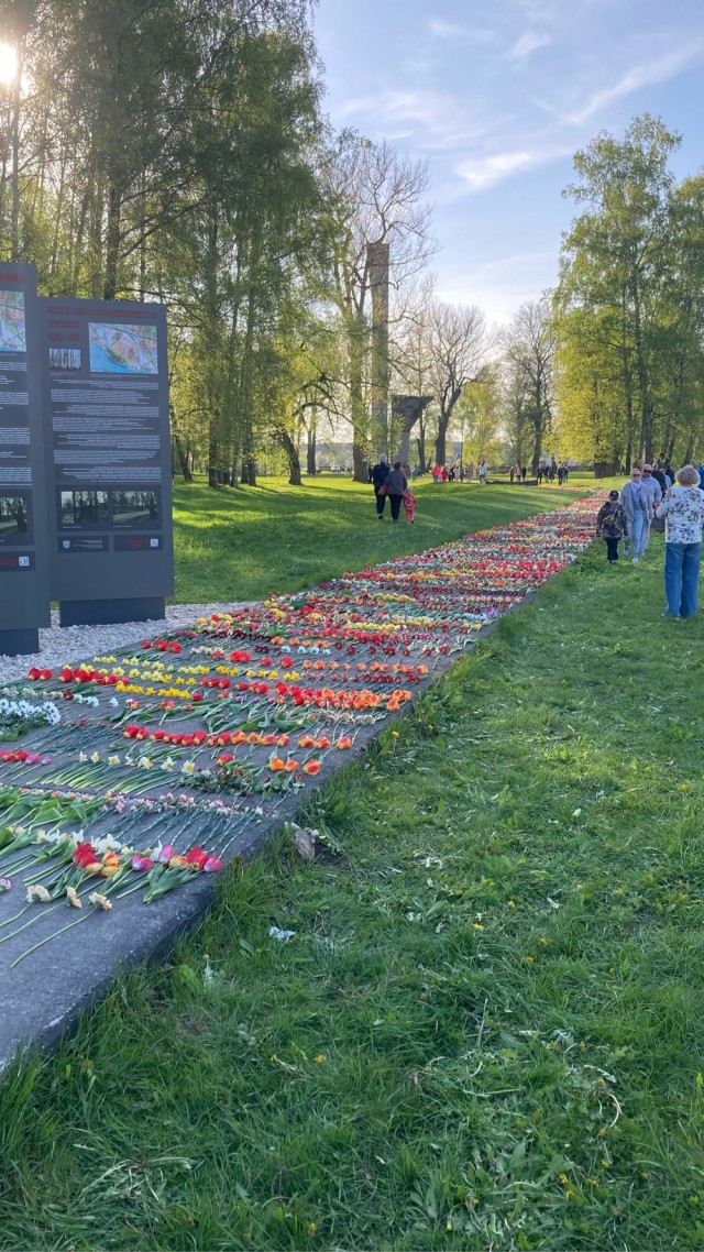 Застрели меня здесь.