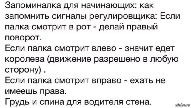 Живой регулировщик! Паника! Паника! Что делать-то?!